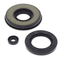 VERTEX ENGINE OIL SEAL KIT (55203)