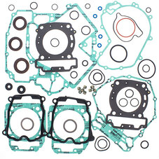 VERTEX GASKET SET & OIL SEALS (811954)