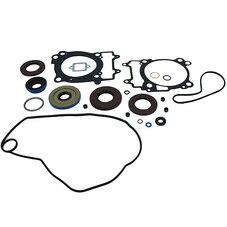 VERTEX GASKET SET & OIL SEALS (811991)