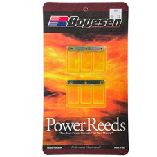 BOYESEN MOTORCYCLE POWER REED (640)