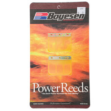 BOYESEN MOTORCYCLE POWER REED (697)