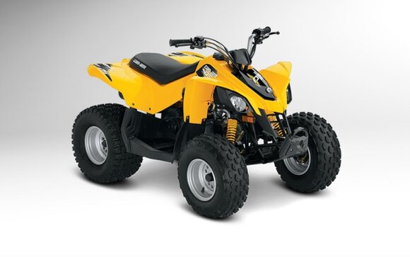 2014 Can Am DS 90™