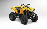 2014 Can Am Renegade® 500