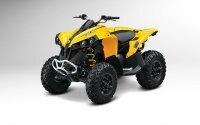 2014 Can Am Renegade® 500