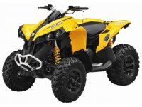 2014 Can Am Renegade® 1000