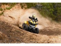 2014 Can Am Renegade® 800R