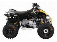 2014 Can Am DS 90™ X®