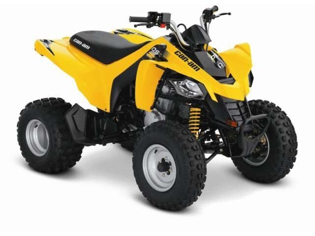 2014 Can-Am DS 250®