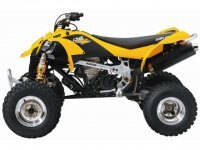 2014 Can Am DS 450™