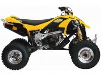 2014 Can Am DS 450™