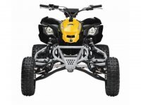 2014 Can Am DS 450™ X® mx