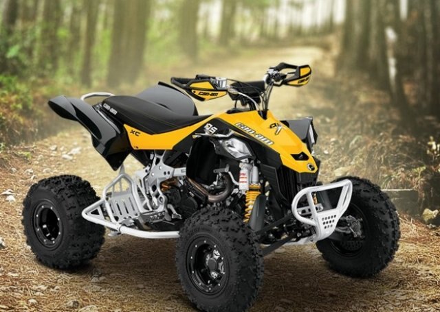 Can-Am DS 450 X xc 450