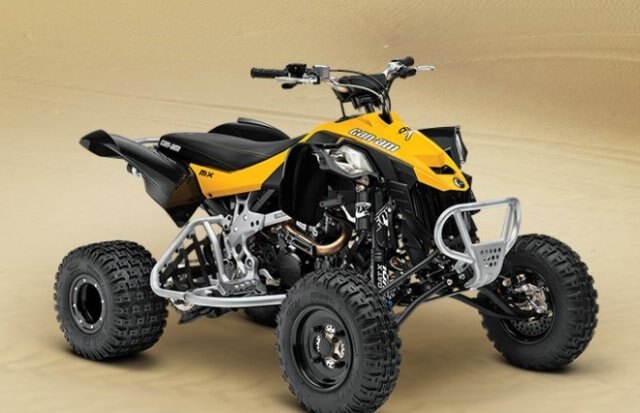 Can-Am  DS 450 X mx 450