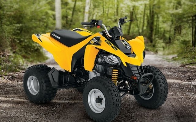 Can-Am DS 250