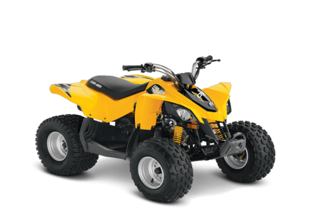 Can-am DS