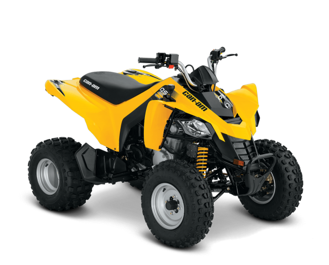 Can-am DS 250