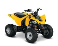 Can am DS 250