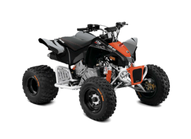 Can-Am DS 90 X