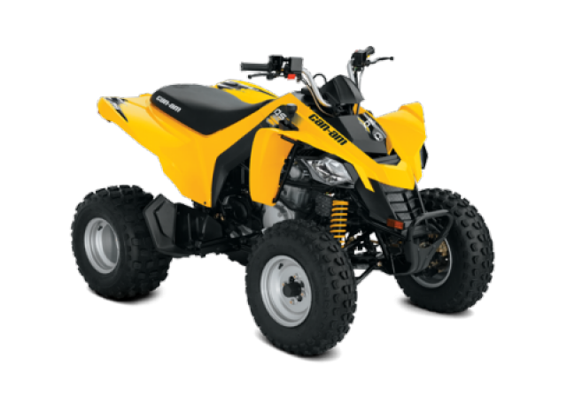 Can-Am DS 250