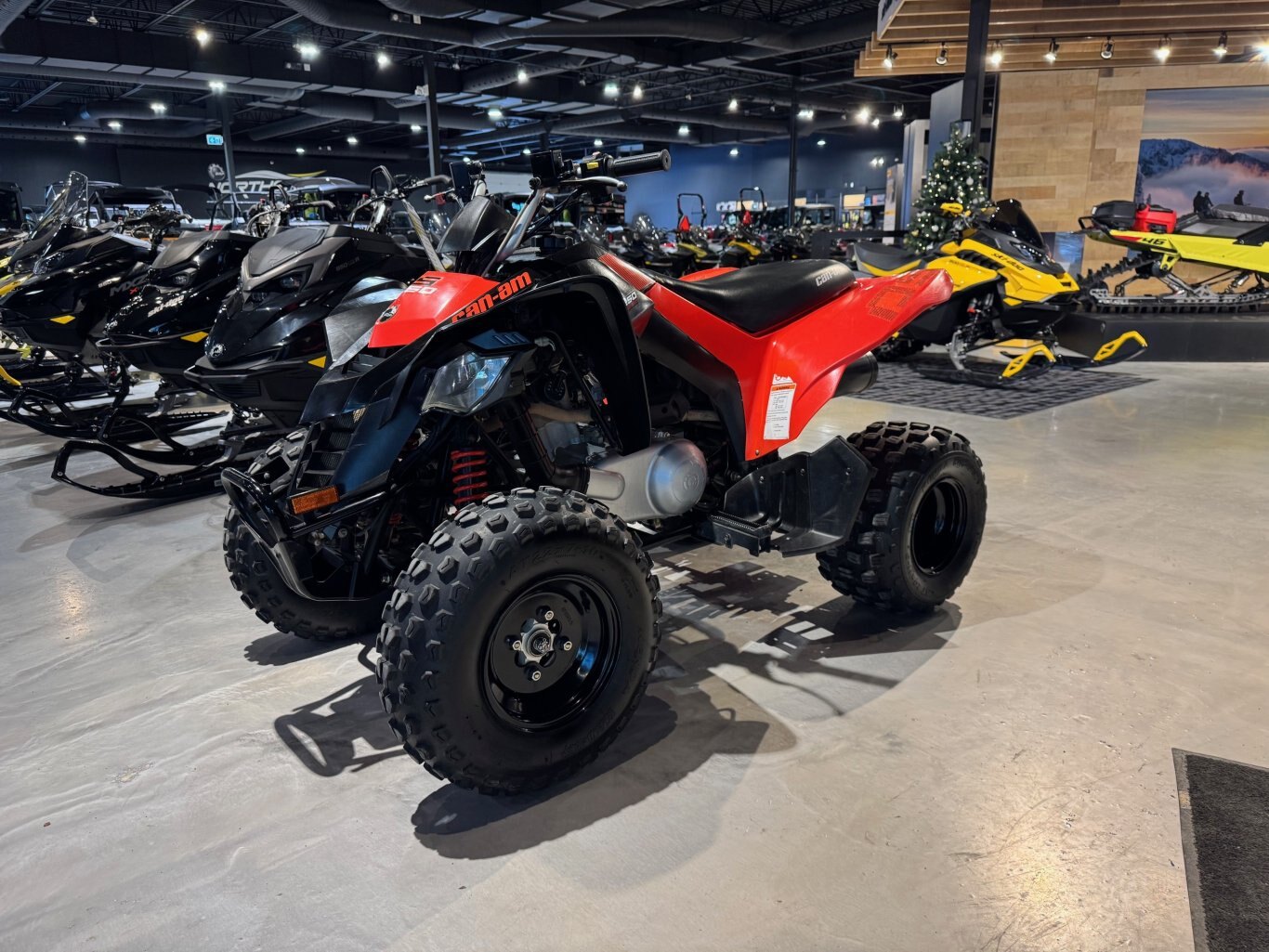 2021 Can Am DS 250