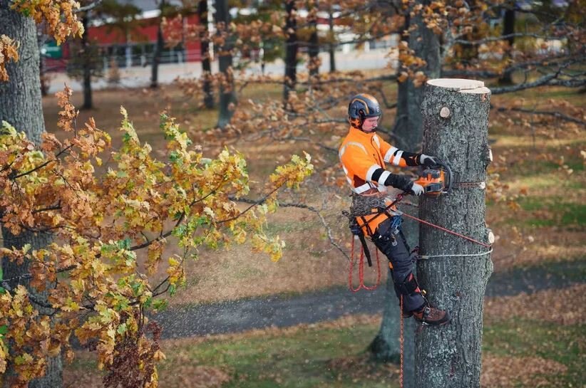 HUSQVARNA 550i XP® G (tool only) 20