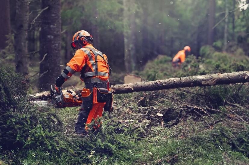 HUSQVARNA 564 XP® Fuel Injected 28
