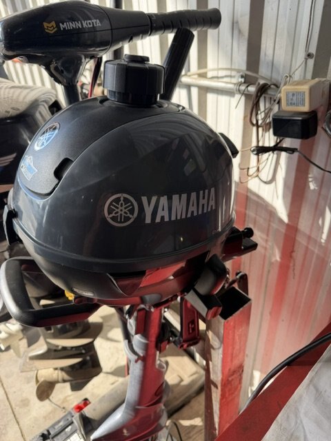 2020 YAMAHA 9.9HP