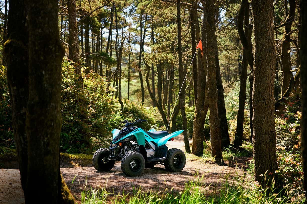 2025 Yamaha Raptor 110 Teal