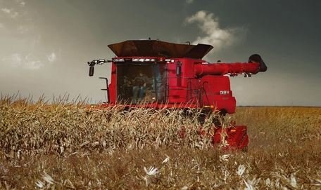 Case IH 4412N Corn Heads