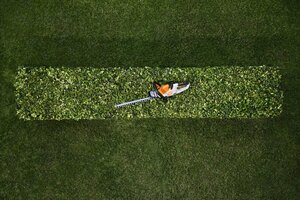 STIHL HSA 30 Set HA080113510