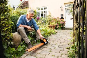 STIHL HSA 45 45110113503