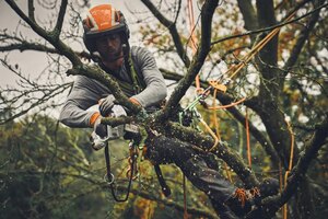 STIHL GTA 40 Set GA040116912