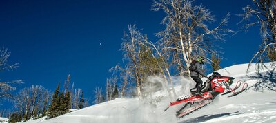 2019 Polaris 800 PRO-RMK 163