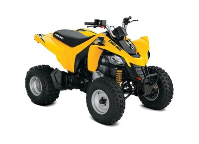Can-Am DS 250