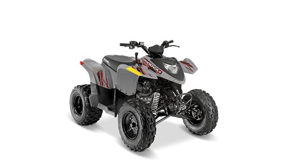 Polaris® Phoenix 200