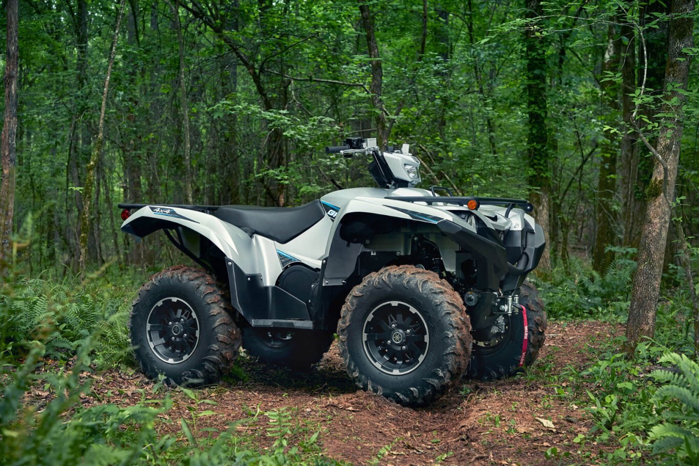 Yamaha Grizzly EPS LE 2020