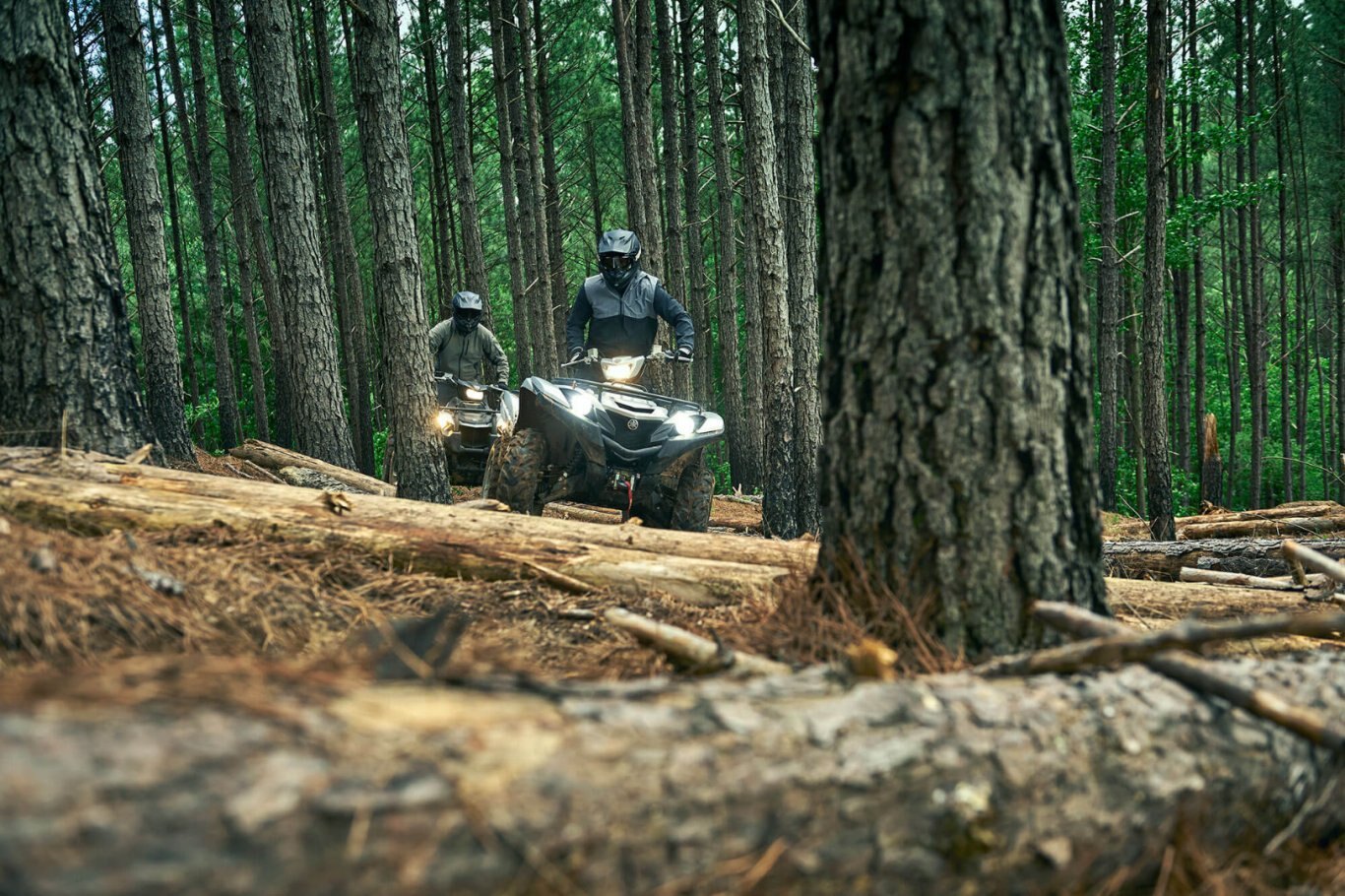 Yamaha Grizzly EPS LE 2020