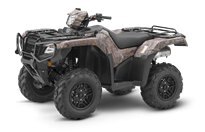 2019 Honda Rubicon 500 DCT Deluxe