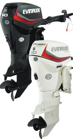 Evinrude 50 HP