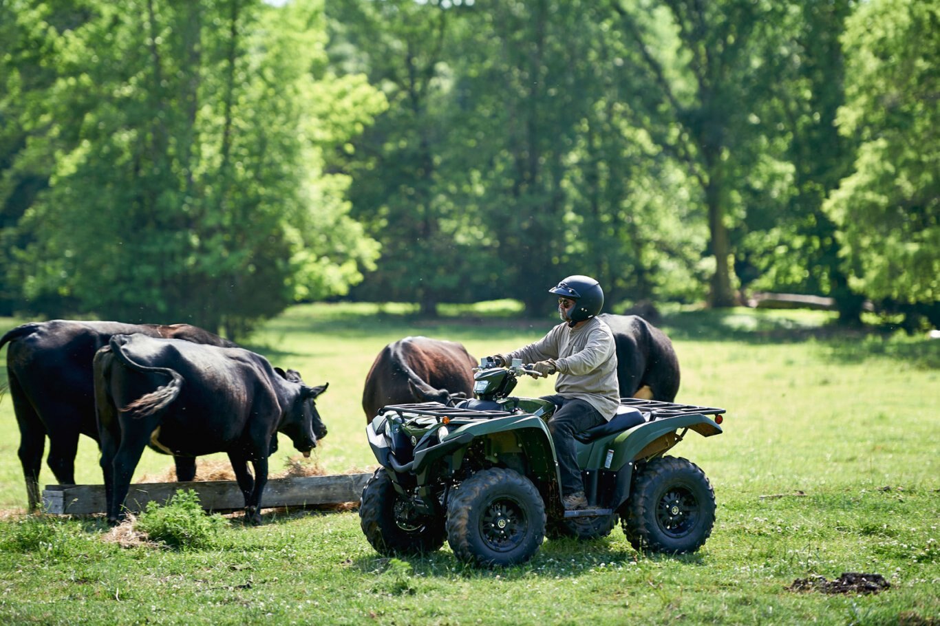 2020 Yamaha Grizzly EPS