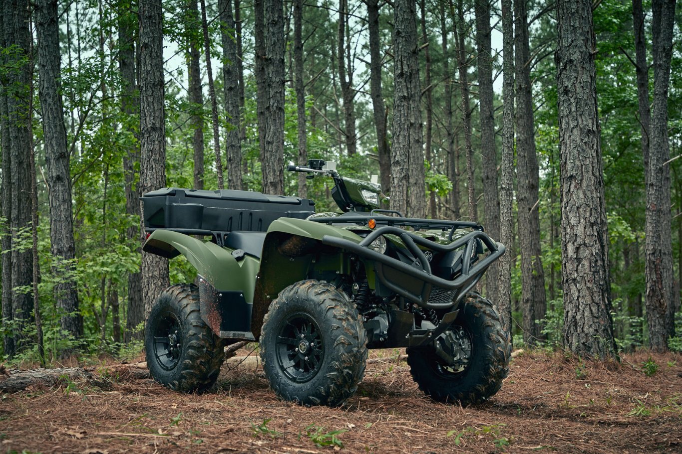 2020 Yamaha Grizzly EPS