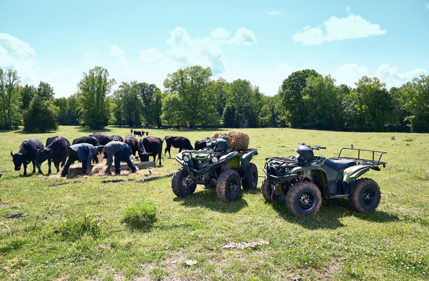 Yamaha Kodiak 700 EPS 2020