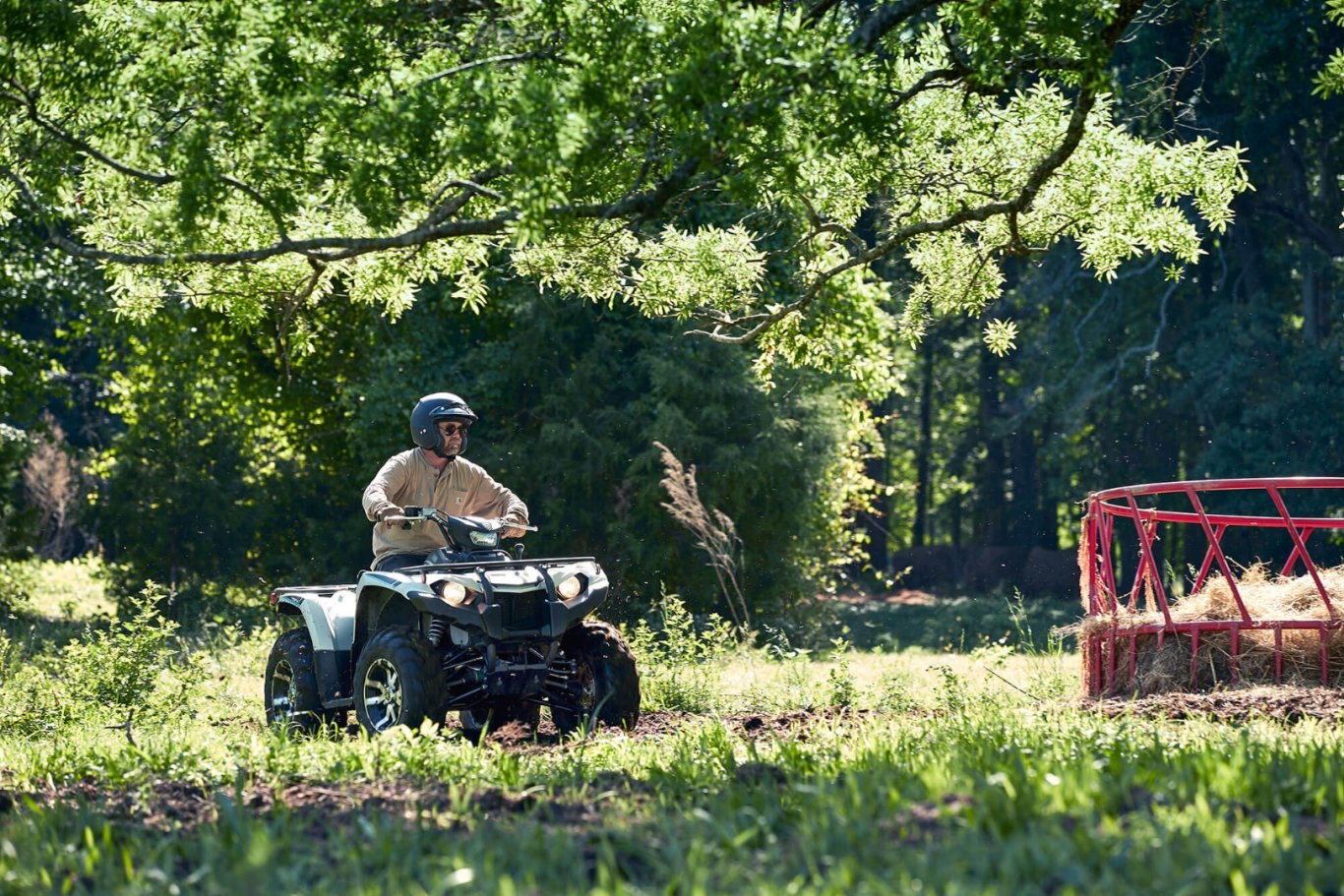 Yamaha Kodiak 450 2020