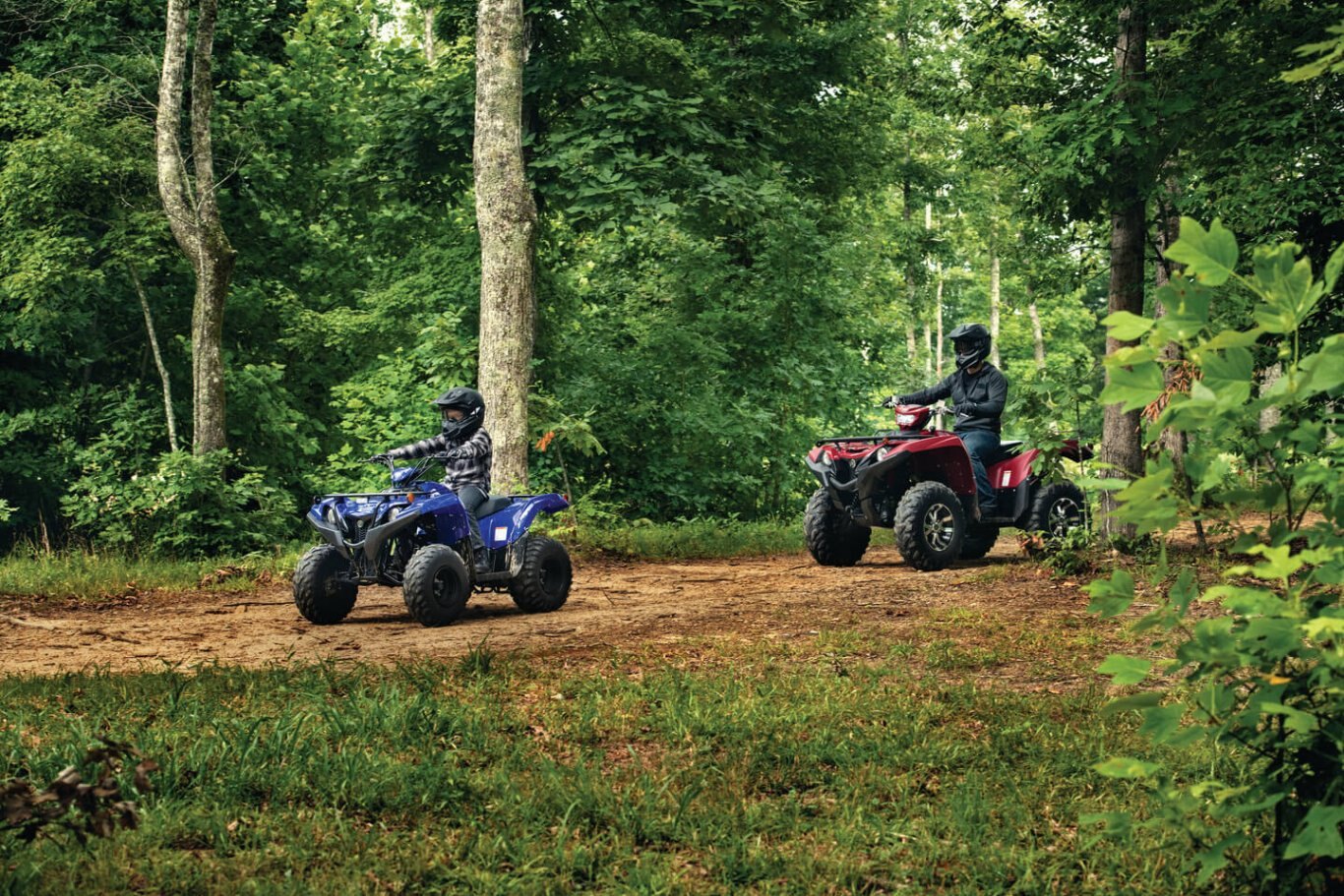 Yamaha Grizzly 90 2020