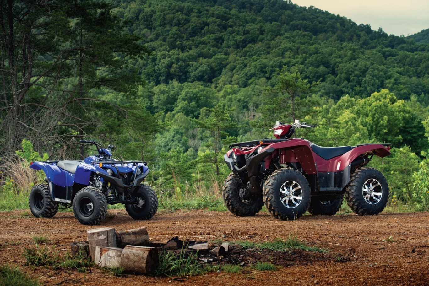 Yamaha Grizzly 90 2020