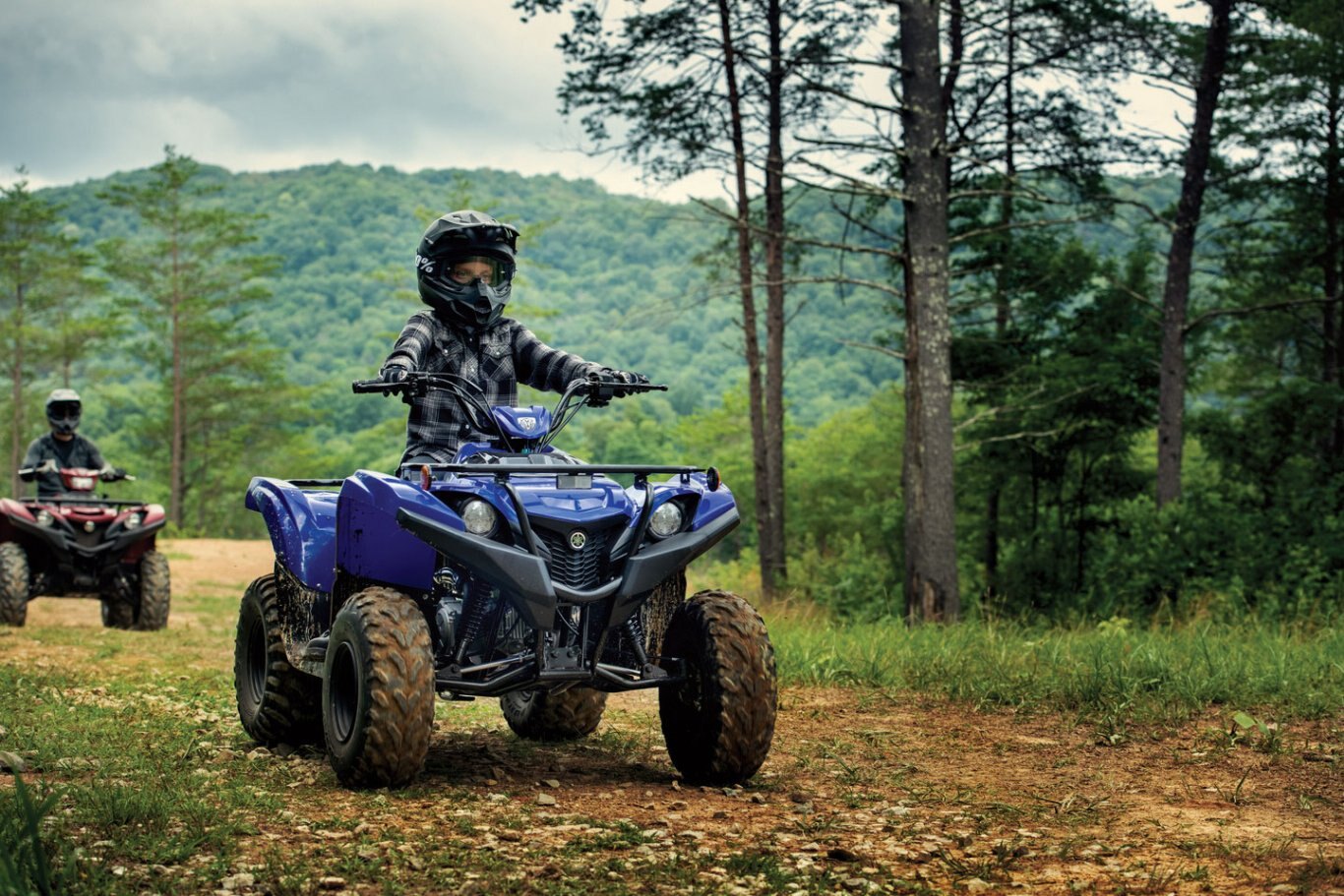 Yamaha Grizzly 90 2020