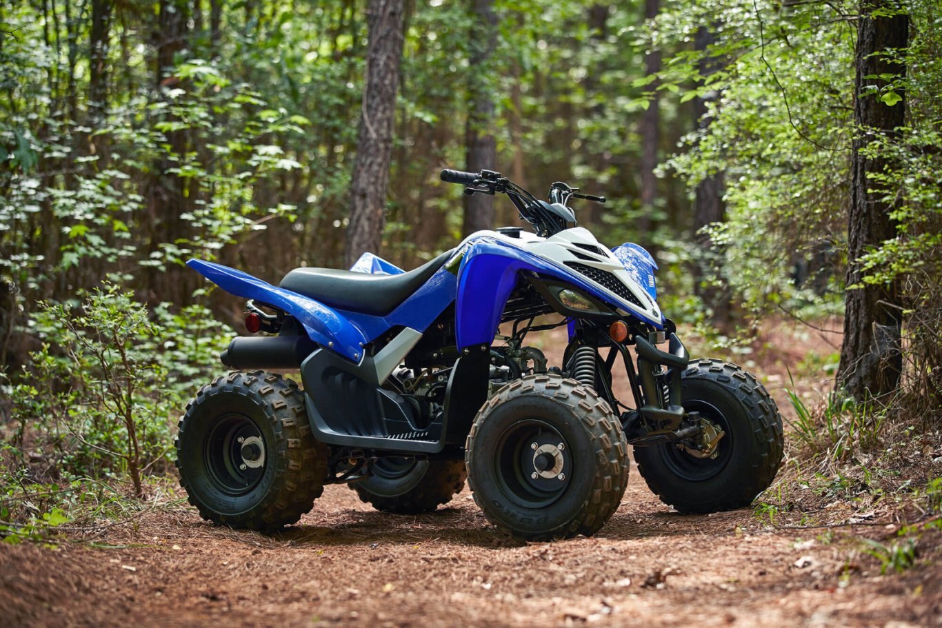 Yamaha Raptor 90 2020