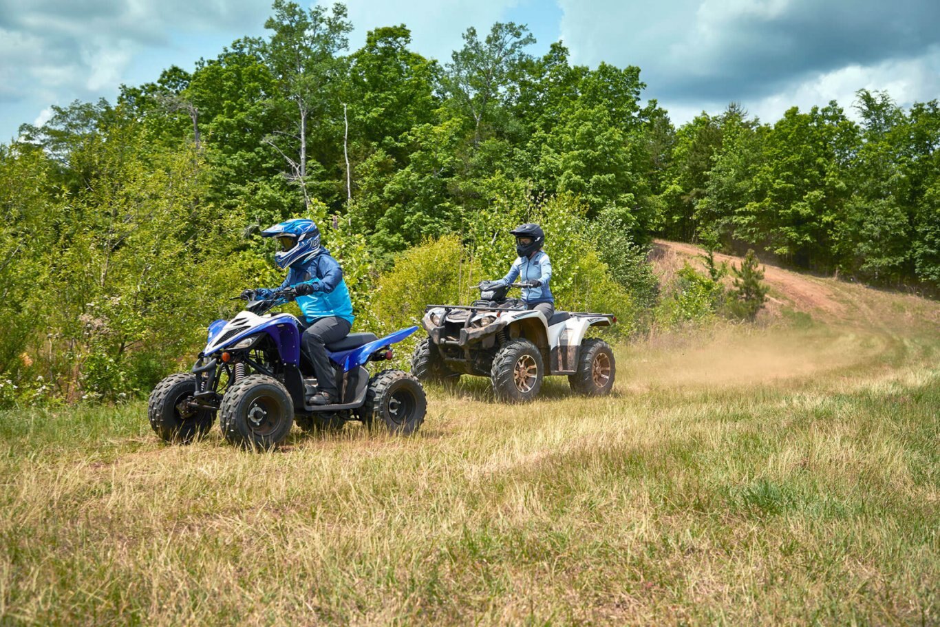 Yamaha Raptor 90 2020