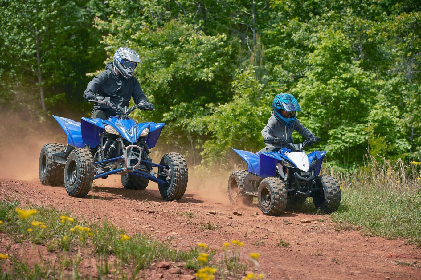 Yamaha YFZ50 2020