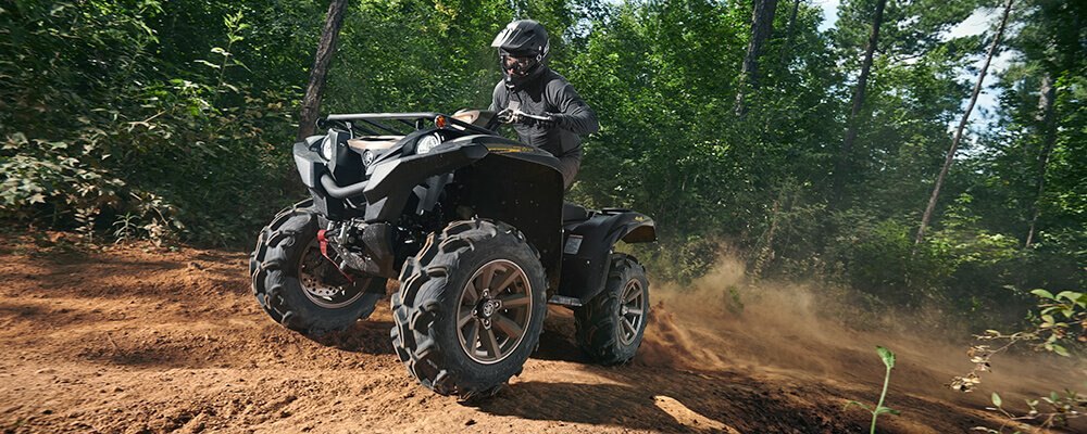 2020 Yamaha Grizzly EPS SE